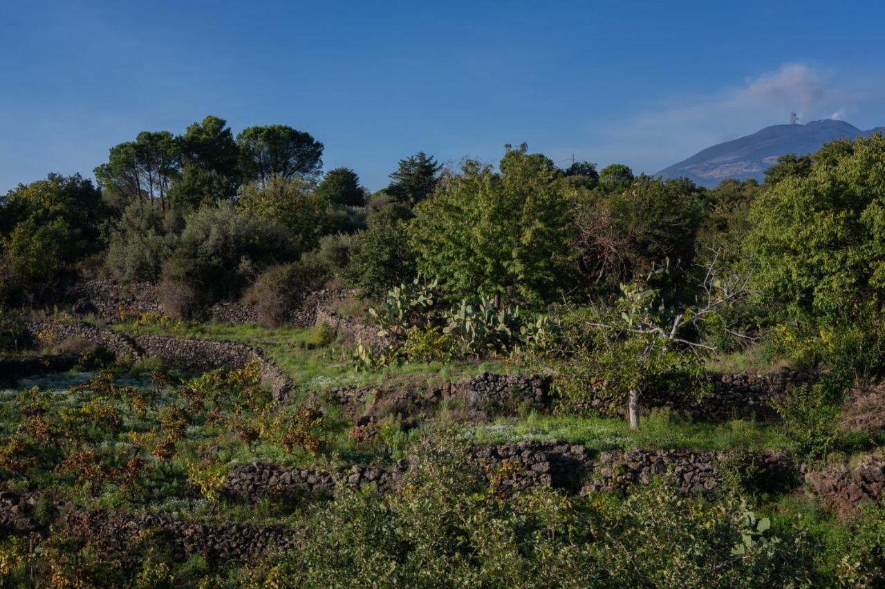 Casa Museo A' Rina Βίλα Belpasso Εξωτερικό φωτογραφία